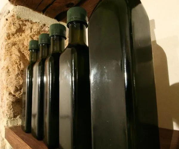 Marco Tullio Cicerone * Arpino